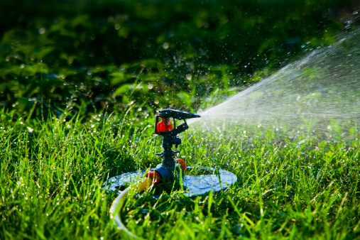 Irrigation Services